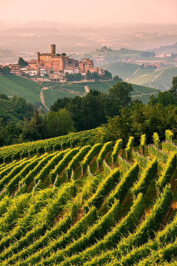 Italy, Piedmont, Cuneo district, Langhe, Castiglione Falletto, the vineyards and the castle of Castiglione Falletto