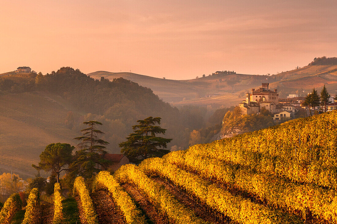 Italy, Piedmont, Cuneo District, Barolo, Langhe Barolo at sunrise