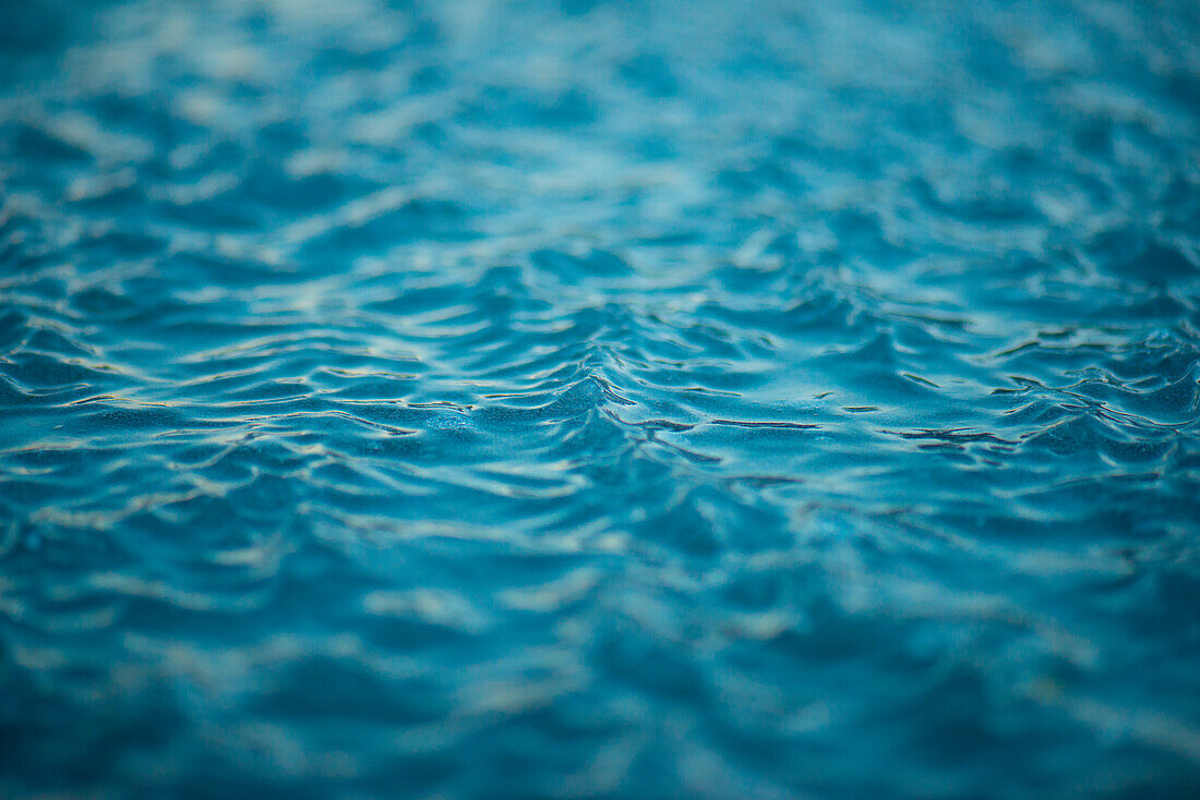 Waves on an iced surface