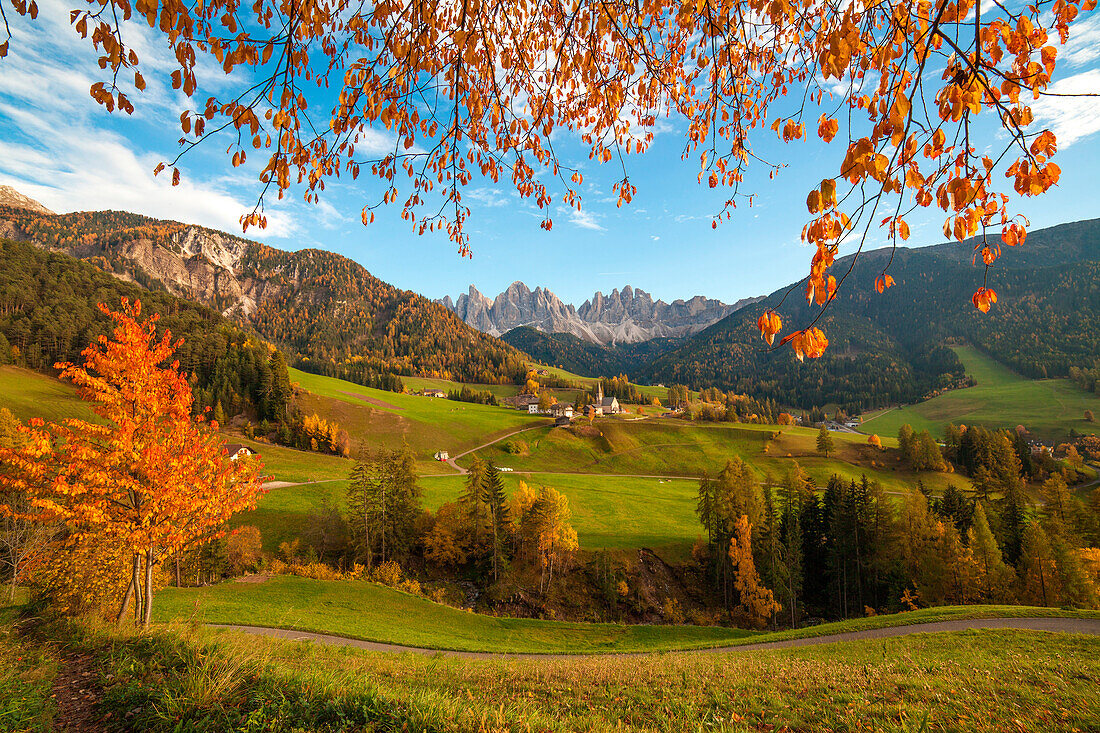 Val di Funes with the village of Santa Maddalena. In the background the Odle, in this picture naturally framed by the colors of autumn leaves.