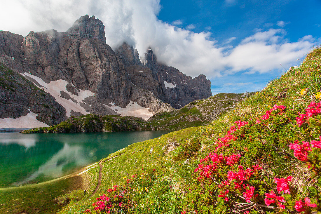 Europe, Italy, Veneto, Belluno. Nearby Lake Coldai, panorama on the Civetta with a blossoming of rhododendrons in the foreground. Dolomites, Civetta group