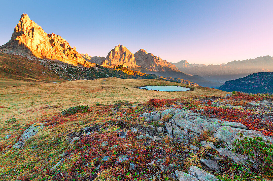 Autumn sunrise near the Giau pass to the Ampezzo valley. The blueberry plants are red and grass is burnt by the first frosts. The sun illuminates the Gusela and Tofane. Dolomites, Italy