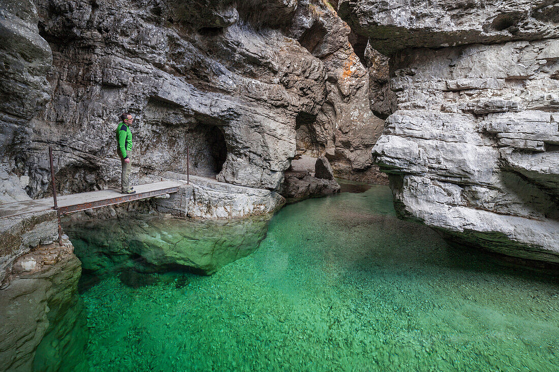 The deep canyon carved by the water coming from val Soffia, in its final part at the confluence with the lake of Mis. The color of water is a beautiful emerald green. Monti del Sole, Dolomiti Bellunesi National Park, Belluno, Veneto, Italy