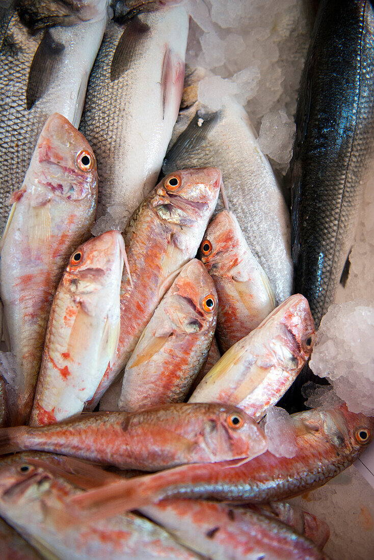 Fisch wird auf dem Wochenmarkt in Pratola angeboten