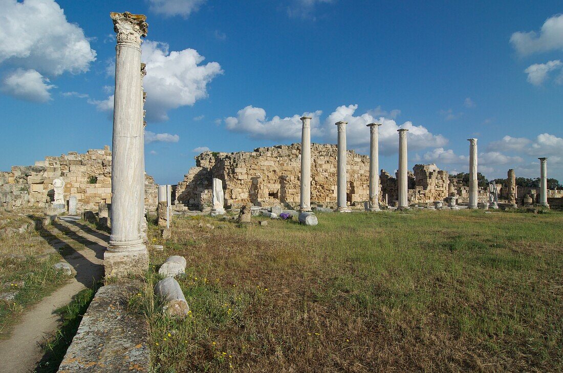 Salamis , römische Ruinen nahe bei Famagusta, Säulen im ehemaligen Gymnasium, Gazimagusa, Nord-Zypern
