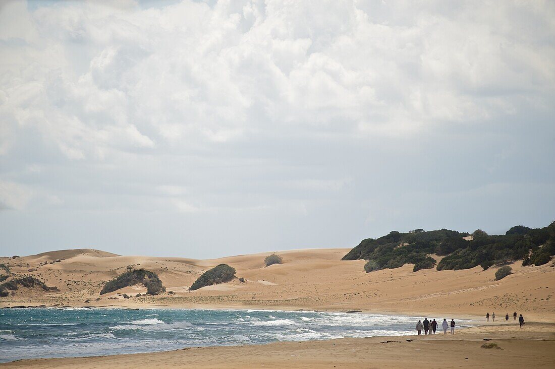 Golden Sand Beach, long sand beach with dunes on the   Karpaz Peninsula, North Cyprus