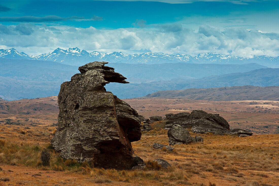 The bizarre rock formation on Rough Ridge featured in some of Grahame Sydney's paintings, Otago, South Island, New Zealand