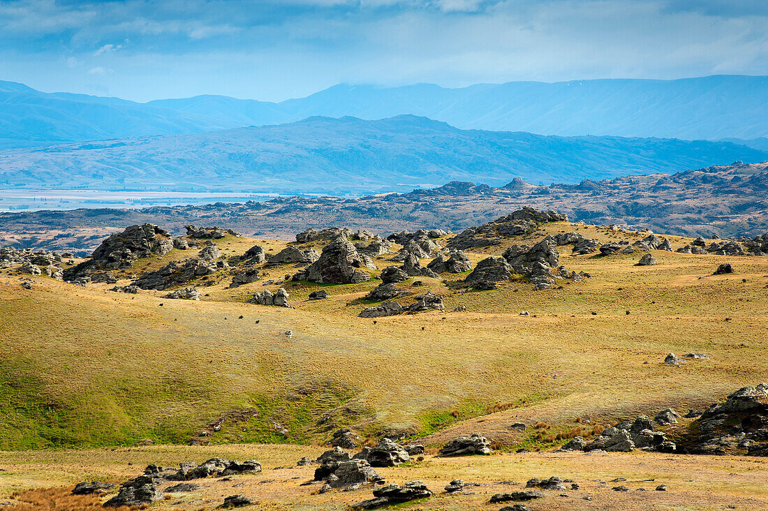 The bizarre rock formation on Rough Ridge featured in some of Grahame Sydney's paintings, Otago, South Island, New Zealand