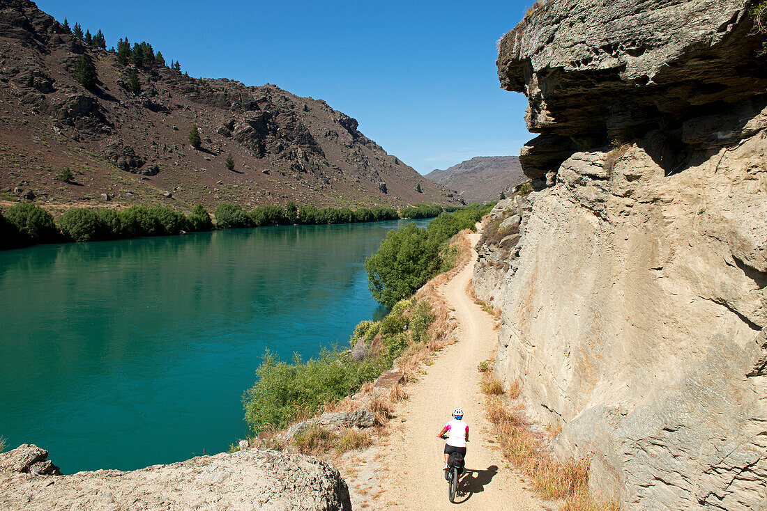 The Roxburgh Bike Trail following the Clutha River through a dramatic gorge, Otago, South Island, New Zealand