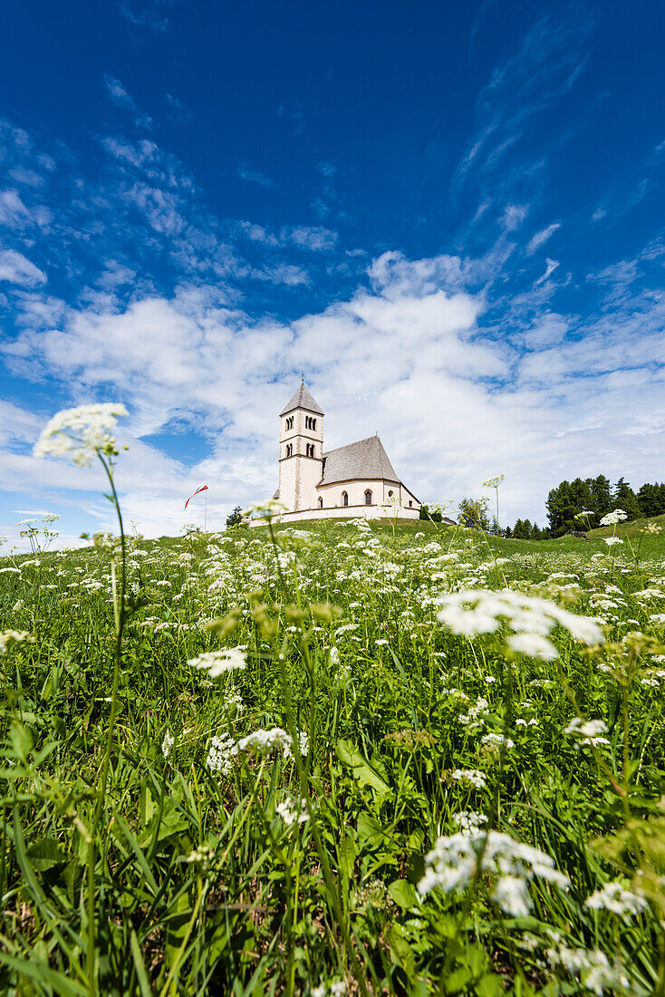 Eine Almwiese mit Schafgarbe vor der St. Wolfgang Kirche, Radein, Südtirol, Alto Adige, Italien