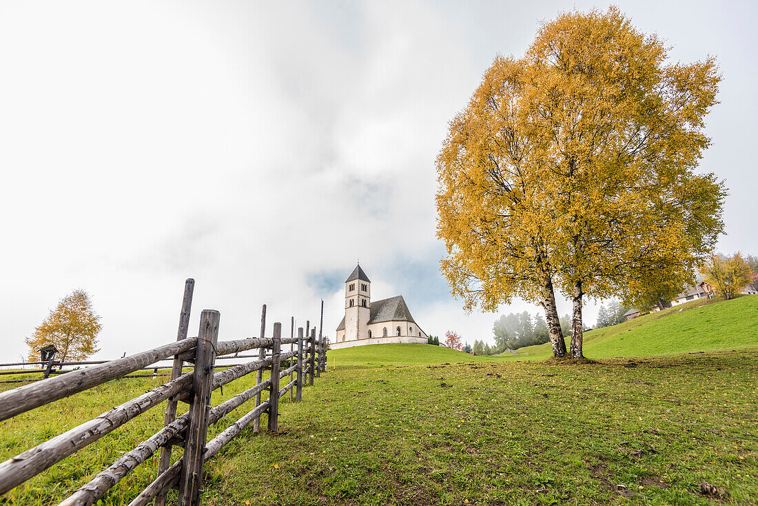 An autumn scenery with yellow coloured trees and the Saint Wolfgang church in the upcoming fog, Radein, South Tirol, Alto Adige, Italy