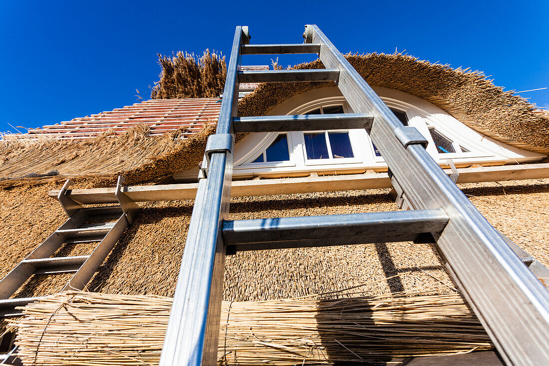 A typical house in the North Friesland gets a new reeds roof, Amrum, Schleswig Holstein, Germany