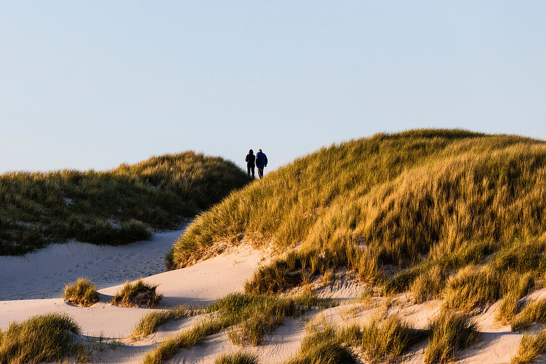 A couple in the extensive dunes during a stroll, Amrum, Schleswig Holstein, Germany