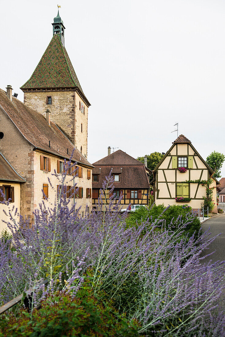 Bergheim, Elsass, Frankreich