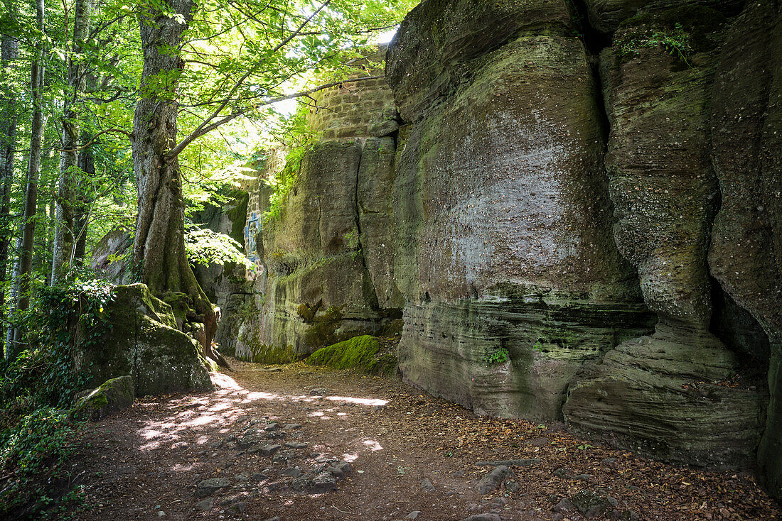 hiking path, Monastery Mont Sainte-Odile, Ottrott, Bas-Rhin, Alsace, France