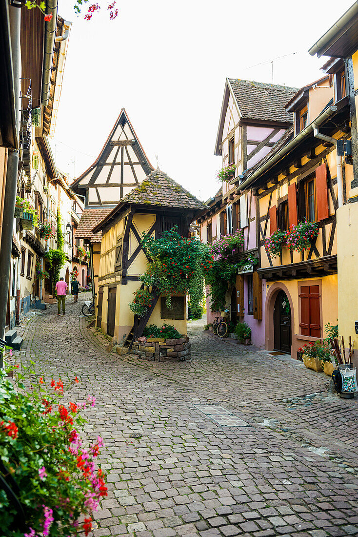 Gasse mit bunten Fachwerkhäusern und Blumen, Eguisheim, Elsass, Frankreich