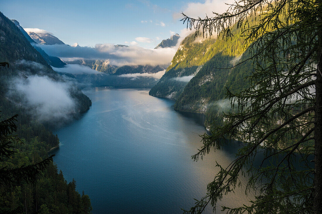 Ausblick auf den Königssee, Nationalpark Berchtesgaden, Berchtesgadener Land, Oberbayern, Bayern, Deutschland