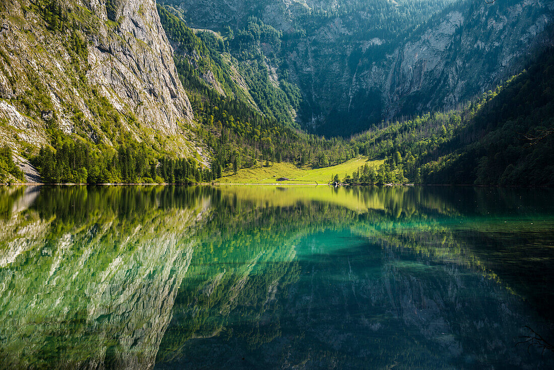 Obersee, Königssee, Nationalpark Berchtesgaden, Berchtesgadener Land, Oberbayern, Bayern, Deutschland
