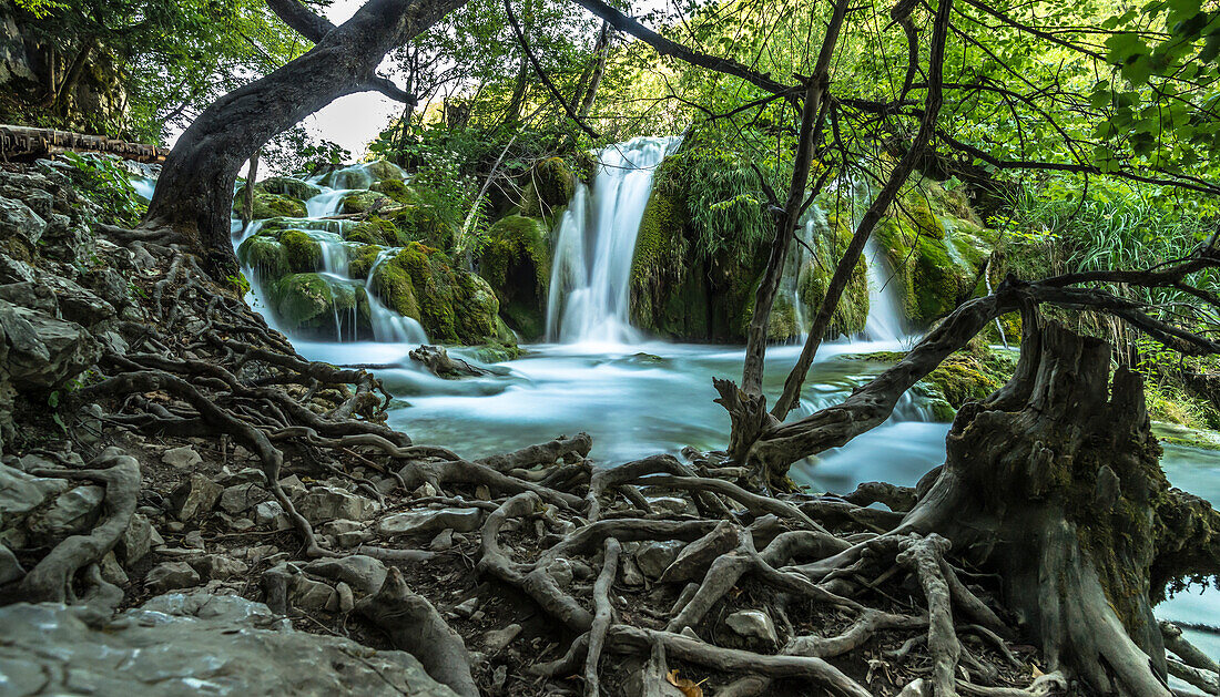 Wasserfall vor Bäumen mit ausgespülten Wurzeln im Plitvicer Nationalpark - Kroatien, Plitvicer Nationalpark