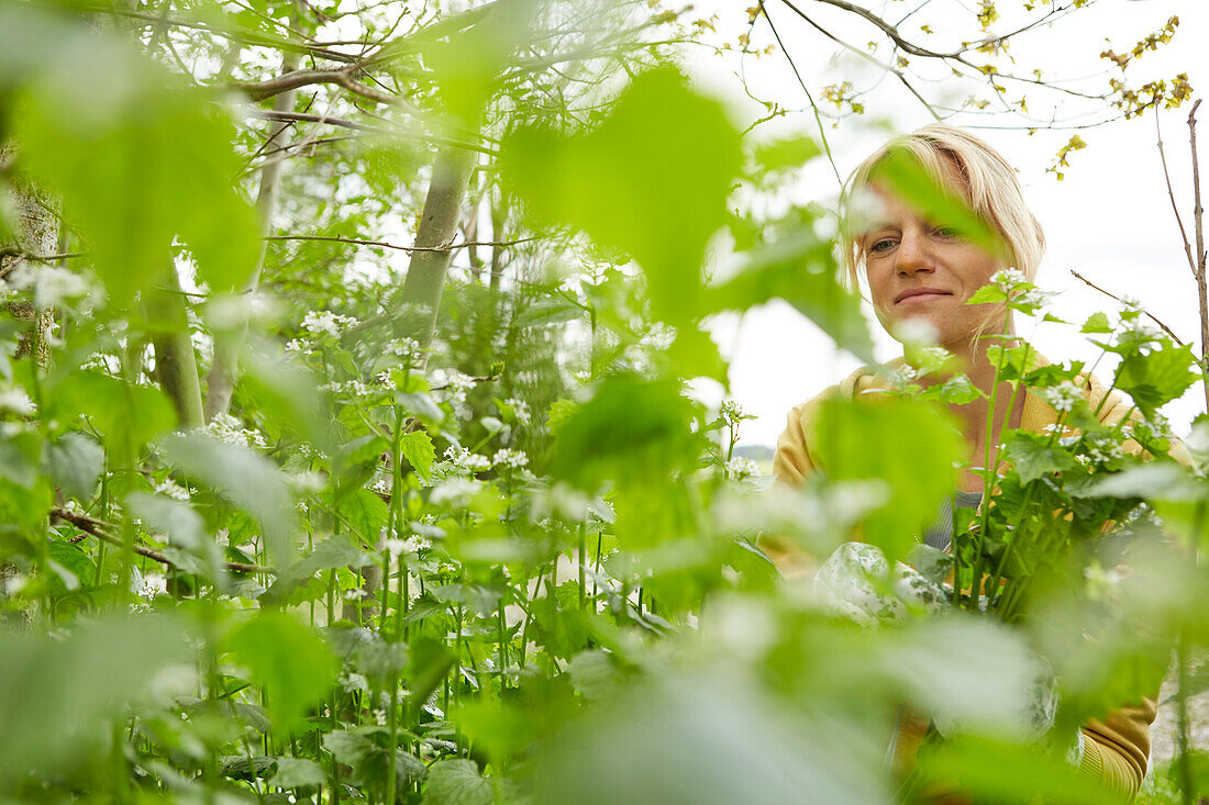 Woman collecting herbs