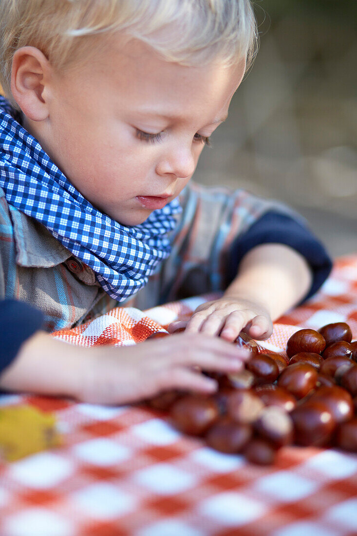 Boy sorting chestnuts
