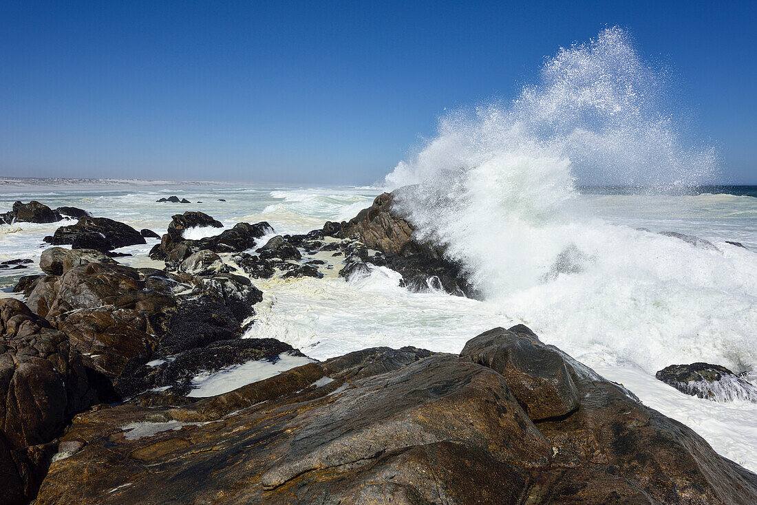 Strand im West Coast National Park, Western Cape, Südafrika