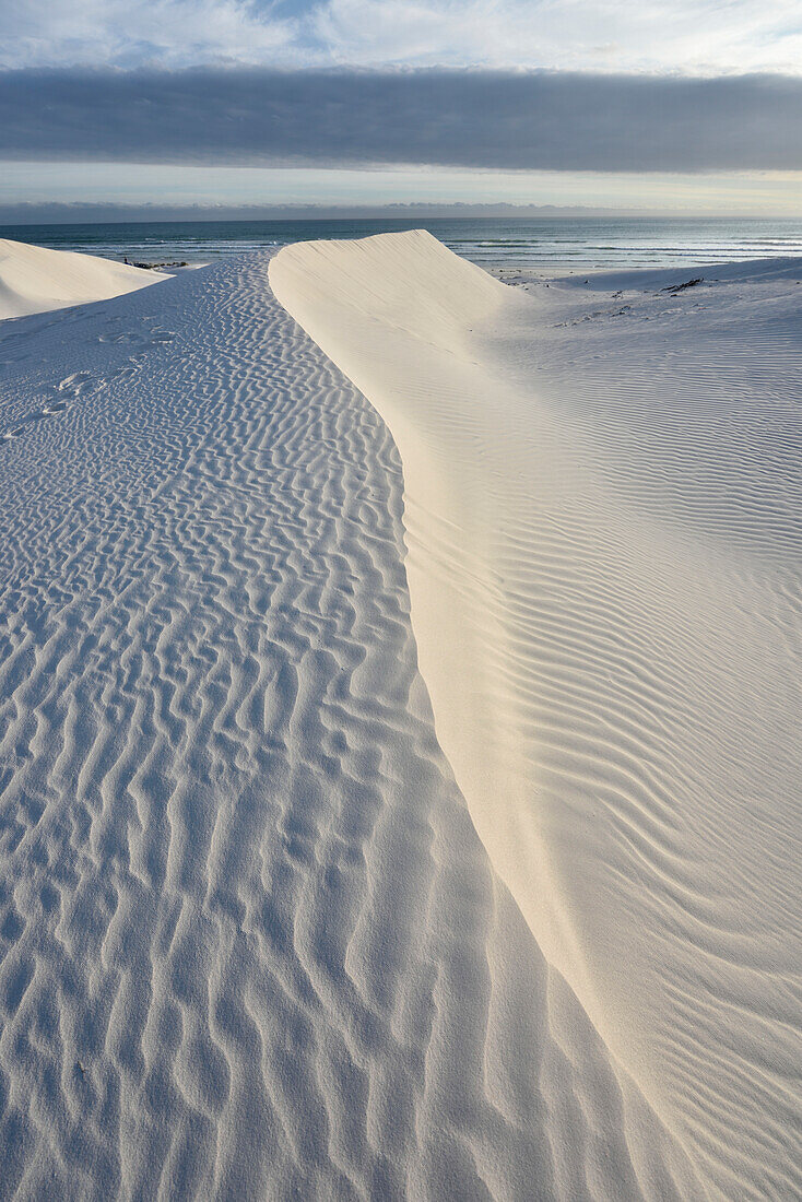white sand dunes of Walker Bay Nature Reserve, Gansbaai, Western Cape, South Africa