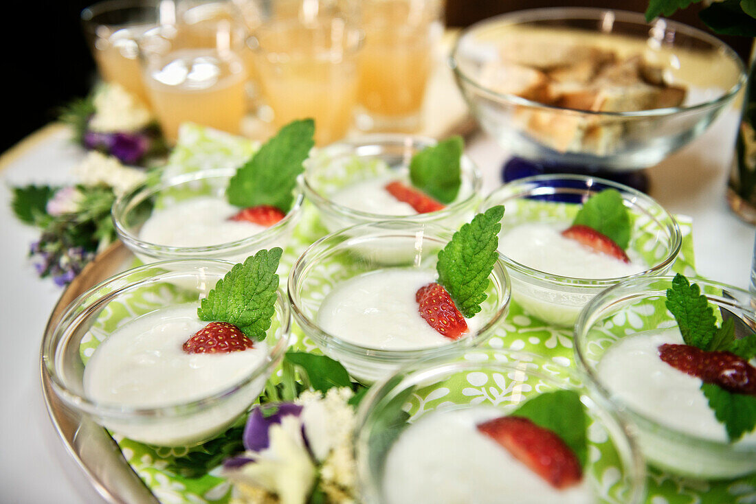 yoghurt dessert with strawberry and mint leaf, Erlangen, Frankonia Region, Bavaria, Germany