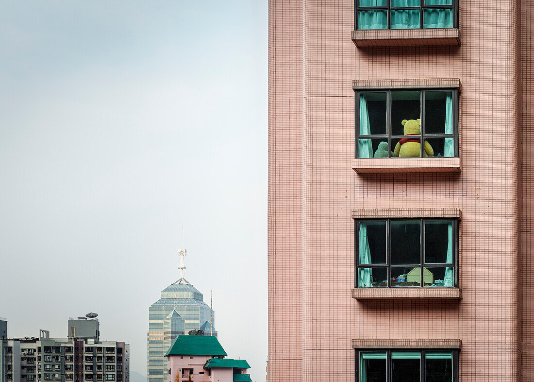 Blick in Wohnung wo ein riesiger Teddy Bär am Fenster sitzt, Mid-Levels, Hongkong, China, Asien