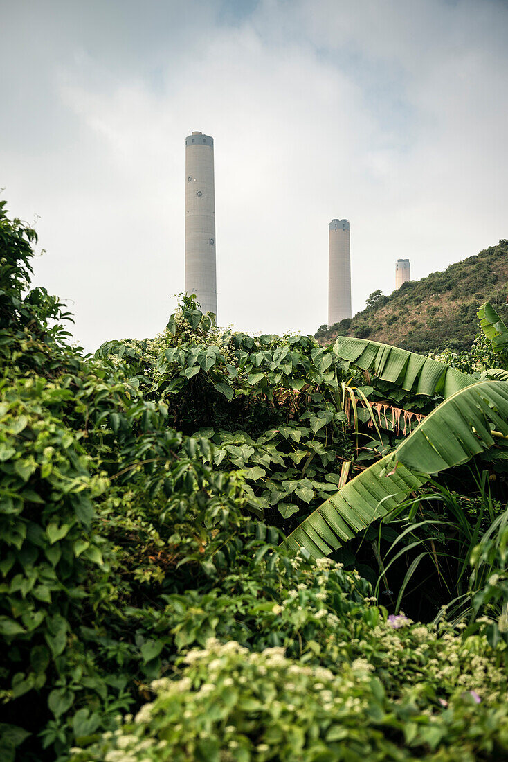 Schornsteine des Lamma Kraftwerks ragen aus dem Dschungel auf, Lamma Insel, Hongkong, China, Asien