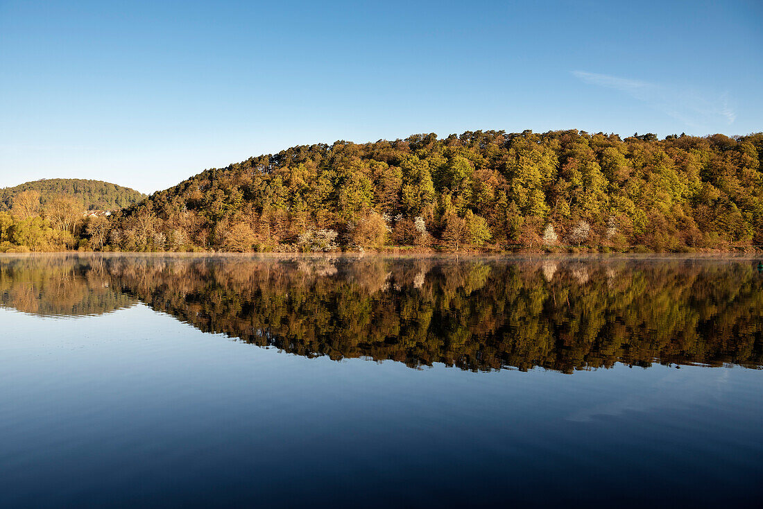 Spiegelung des Waldes am Edersee, Nationalpark Kellerwald-Edersee, Hessen, Deutschland