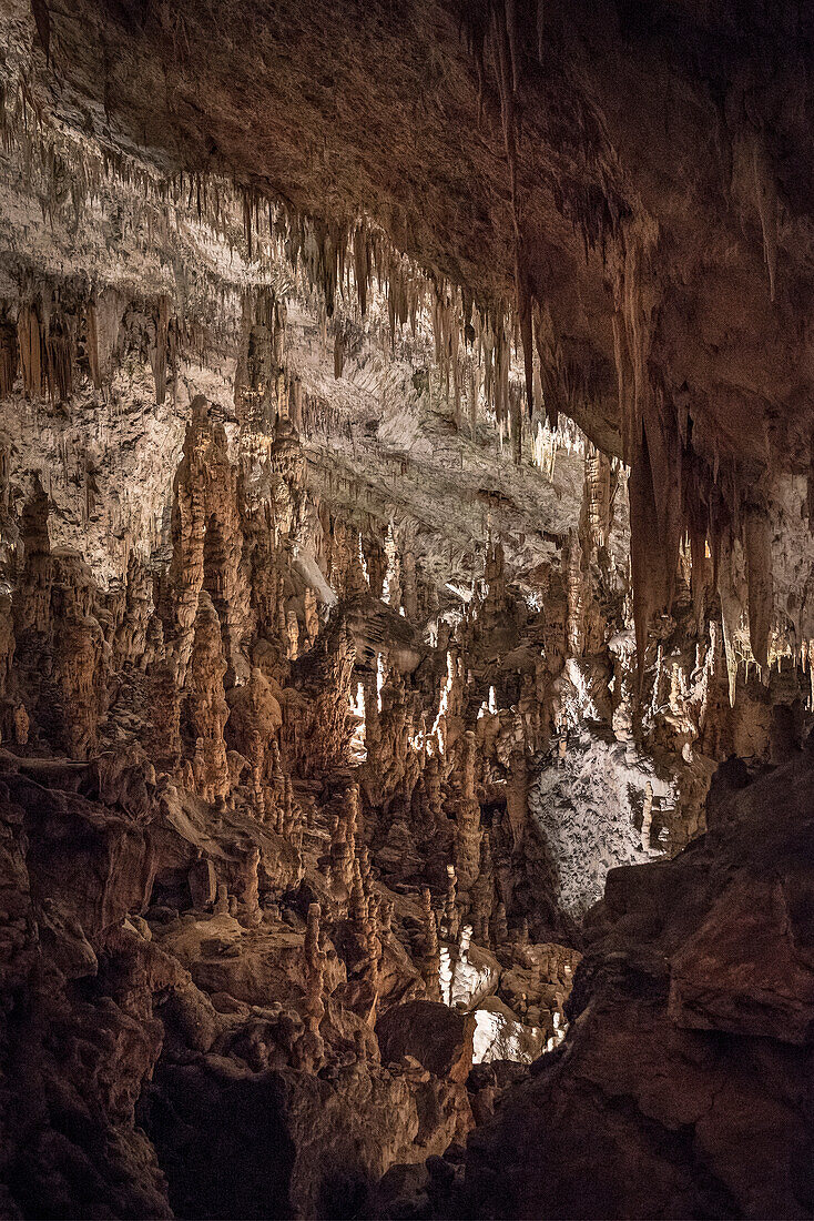 gewaltige Tropfsteine – Stalagtiten und Stalagmiten – in den Höhlen von Postojna, Slowenien, Europa