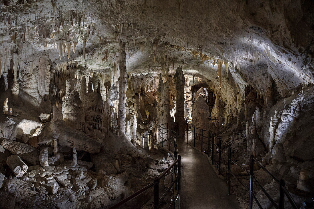 impressive dripstone formations at Postojna Cave, Slovenia, Europe