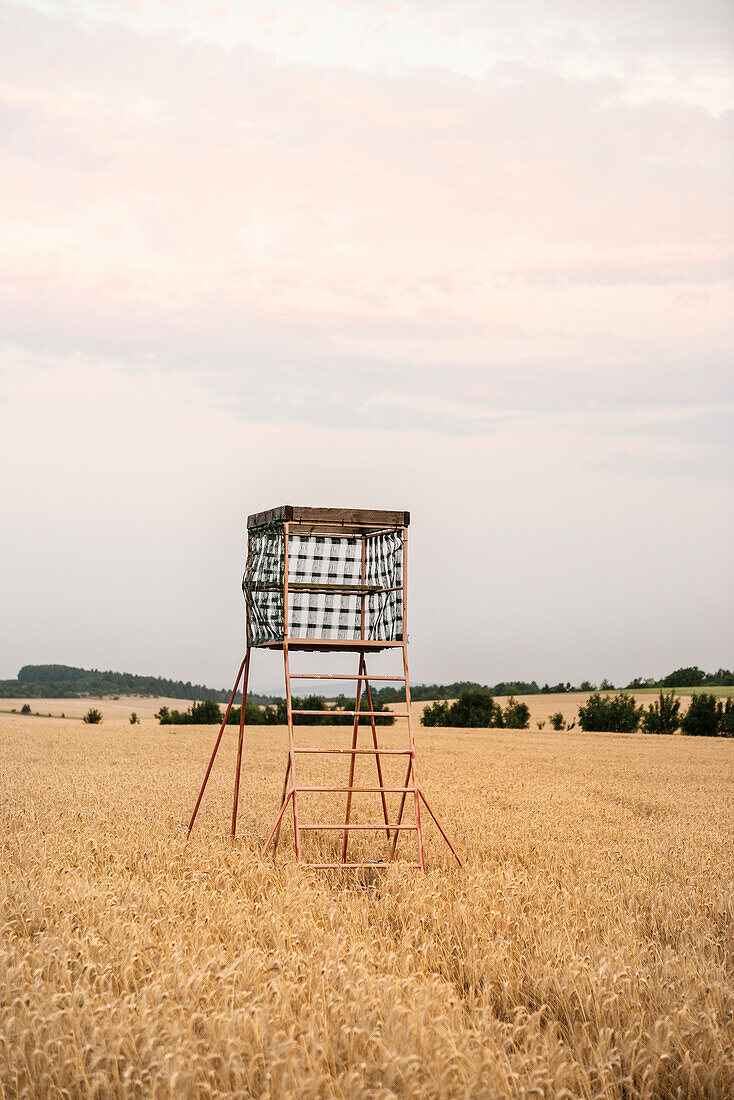 high seat at wheat field, Hainich National Park, Thuringia, Germany