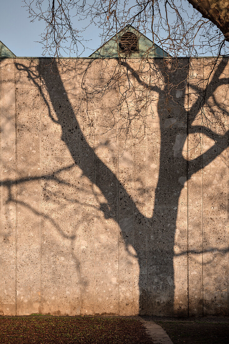Schatten von einem blattlosen kahlen Baum an Mauer im Schlosspark, Stuttgart, Baden-Württemberg, Deutschland