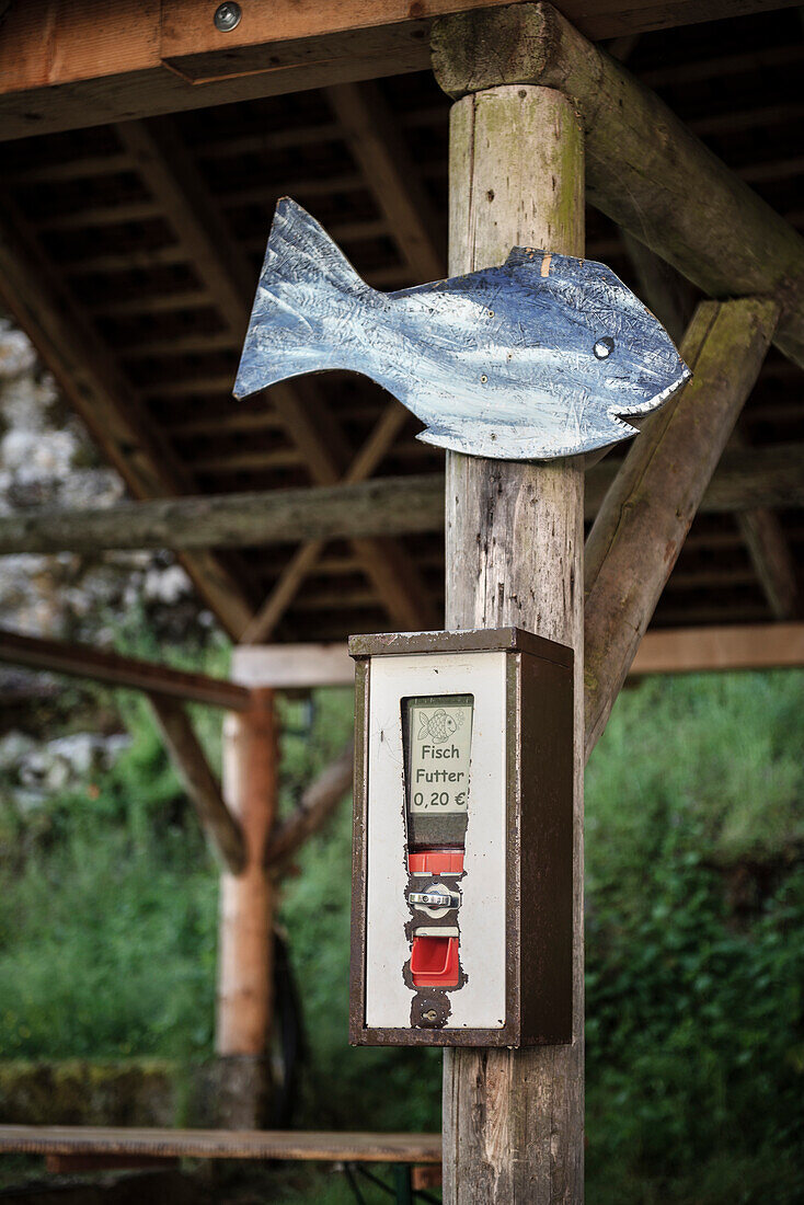 Automat zum Kauf von Fischfutter, abgebildeter glücklicher Fisch, Wimsener Höhle, Schwäbische Alb, Baden-Württemberg, Deutschland
