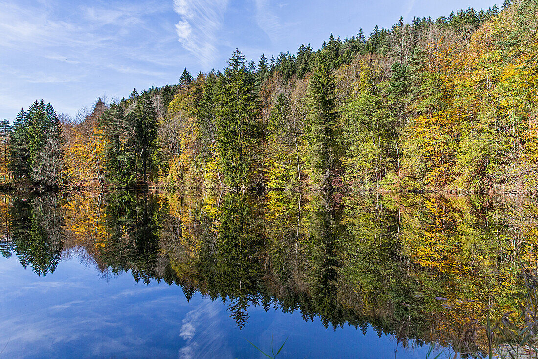 Wonderful lake at a forest on a sunny day, Schwaerzer Wand, Bavaria, Germany