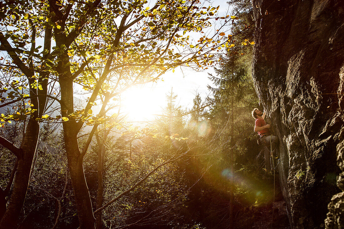 Junger Mann klettert an einer Felswand an einem sonnigen Tag, Schwaerzer Wand, Bayern, Deutschland