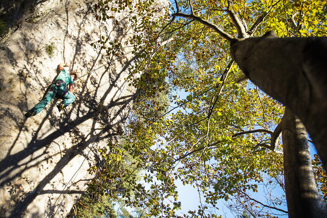 Young woman climbing at a rock face, Schwaerzer Wand, Bavaria, Germany