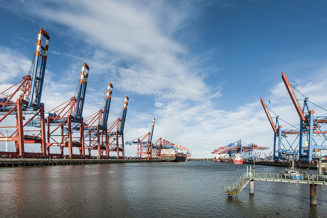 container cranes and container ships at the Burchardterminal at the habour of Hamburg, Hamburg, north Germany, Germany