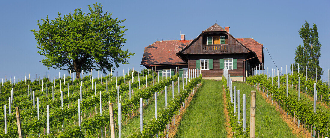 Haus an der Südsteirische Weinstrasse, Steiermark, Österreich