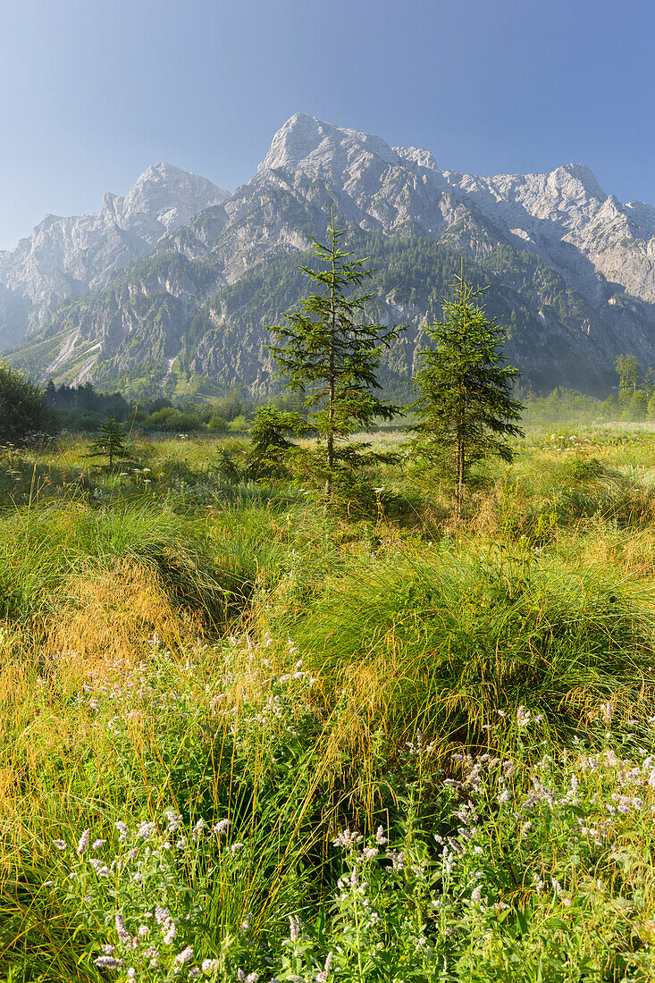 Almtal, Zwölferkogel, Totes Gebirge, Oberösterreich, Österreich