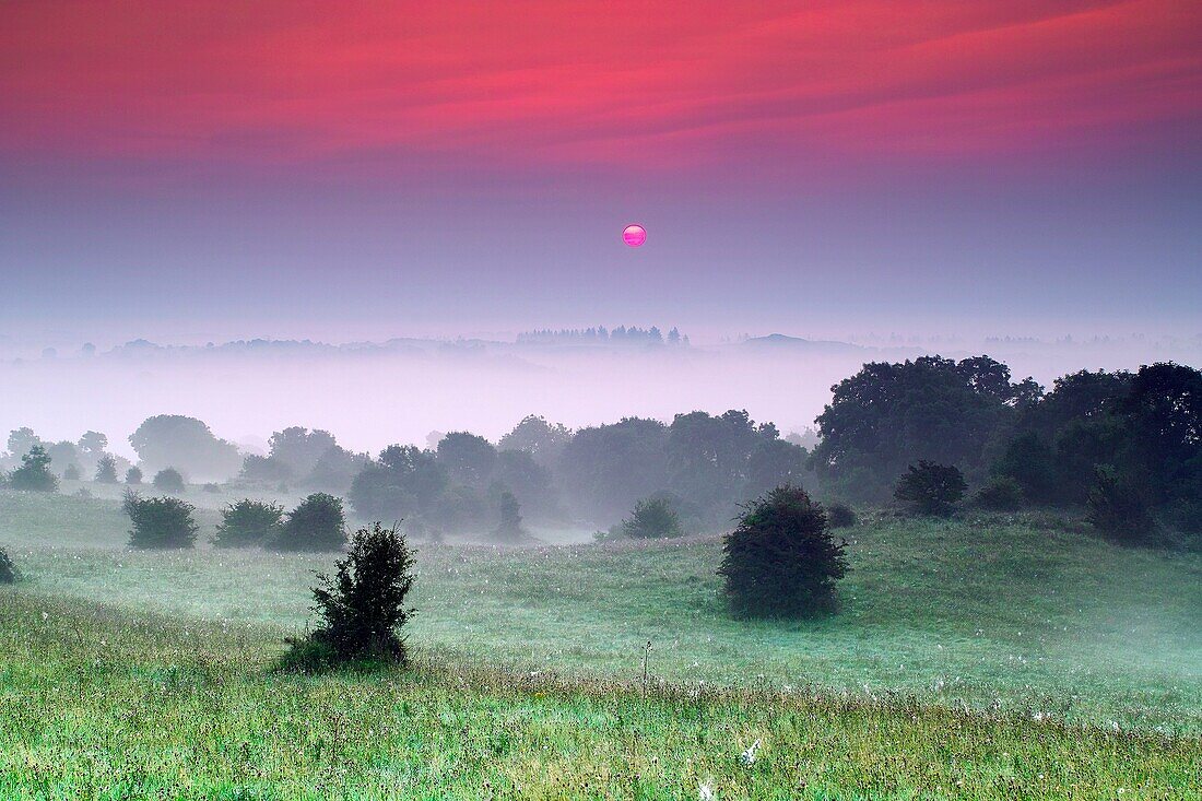 Dawn, Hill of Uisneach, County Westmeath, Ireland.