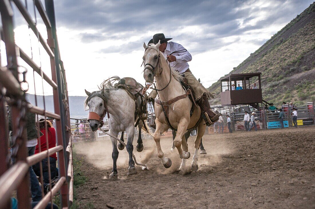 A wrangler grapples with a runaway bucking bronco at a dusty Montana rodeo.