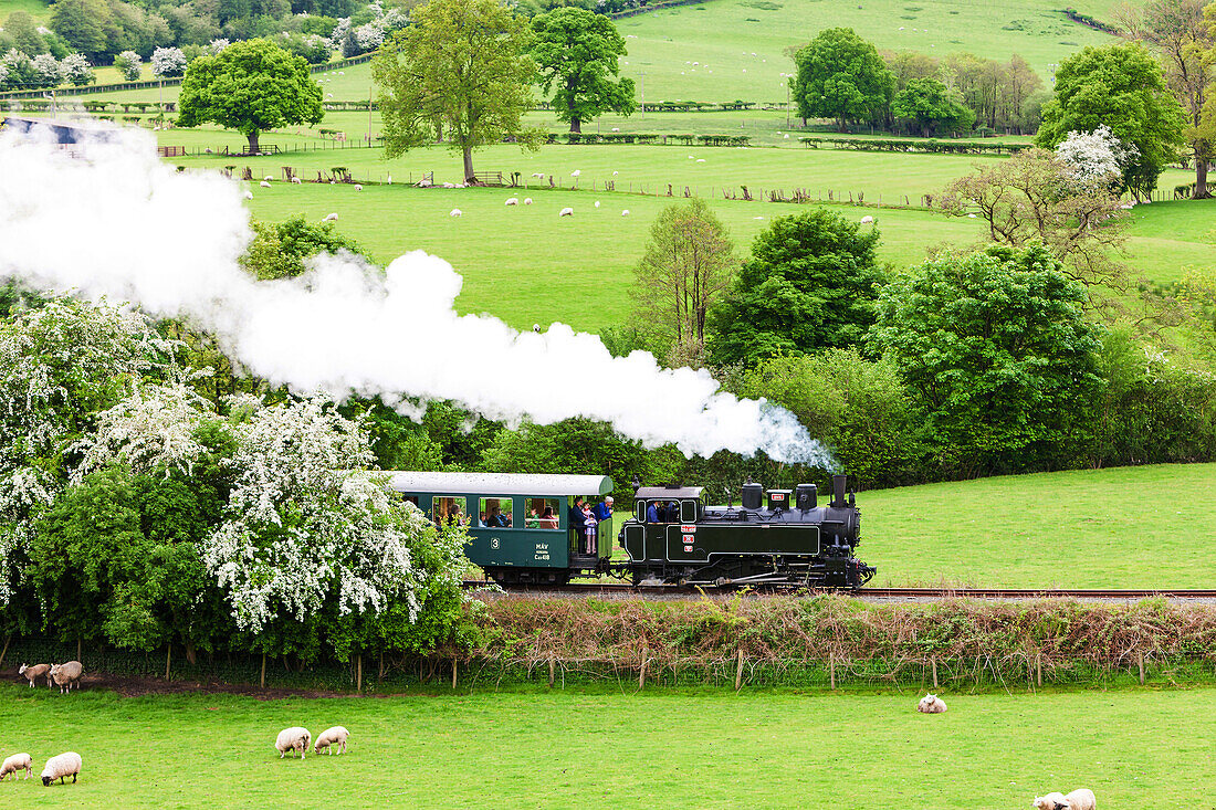 Welshpool and Llanfair Light Railway, Wales.