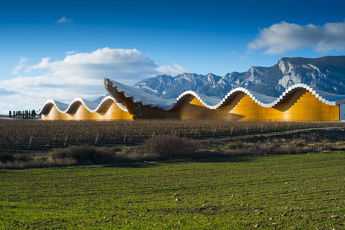 Ysios wine cellar. Laguardia. Rioja Alavesa. Alava, Basque Country, Spain, Europe.