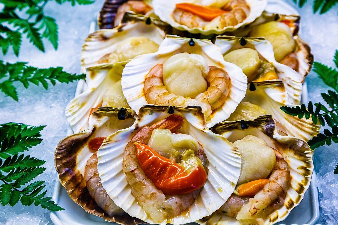 Pilgrim´s scallop with seafood. Santiago de Compostela. La Coruña, Galicia, España.