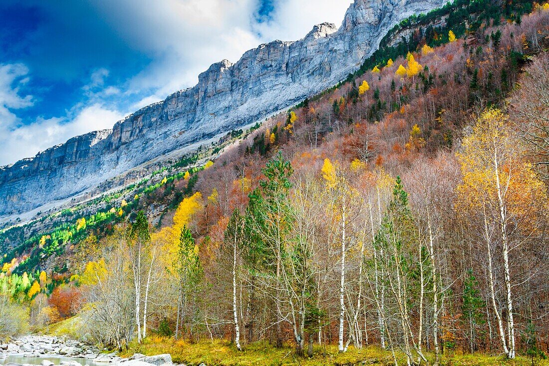 Faja del Pelay and forest. Ordesa Valley.Ordesa National Park. Pyrenees, Huesca, Spain, Europe.