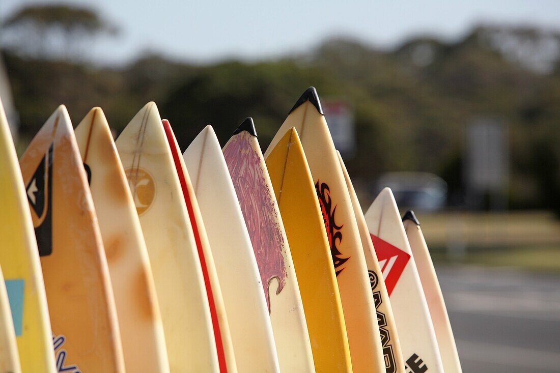 Second-hand surfboard shop. Angelsea, Victoria, Australia.
