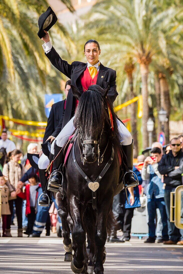 exhibicion de caballos y jinetes menorquines, caballeros de Es Migjorn, club hipico Sa Creueta, Día de las Islas Baleares, Palma, Mallorca, balearic islands, spain, europe.